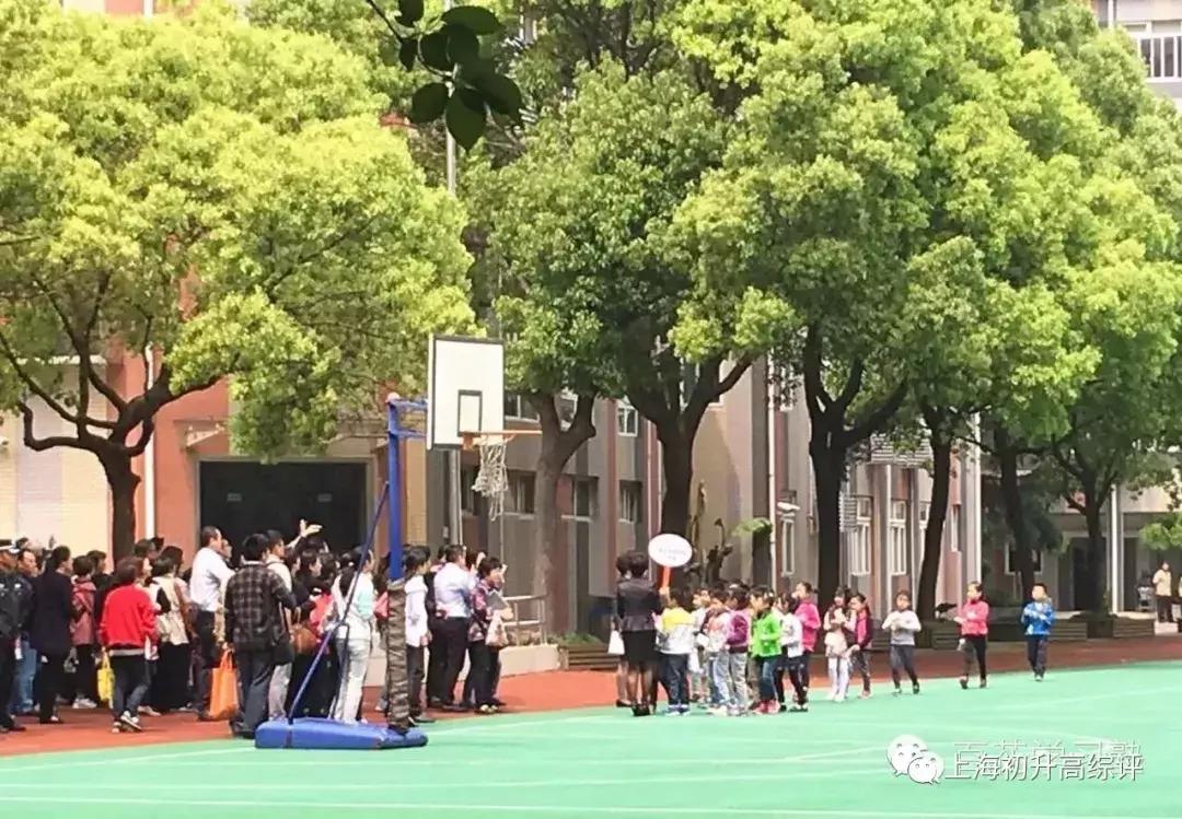 上海实验学校高考,2019上海市实验学校喜报