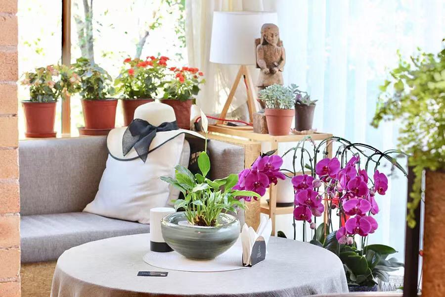 兰州不得不去的花园餐吧,兰州啤酒花园餐吧