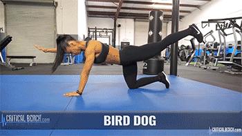 减大肚子吃什么药好使,减大肚子用什么药最好