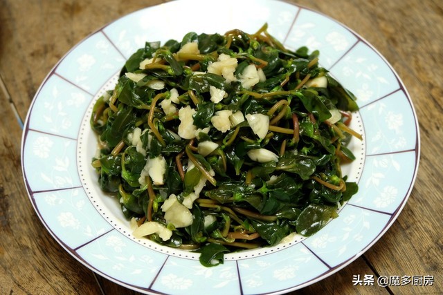 农村菜地里一种野菜酸酸甜甜的,农村常见能吃的野草和做法