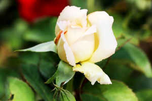 有深意的个性签名句句经典,个性签名经典语录精辟的短句