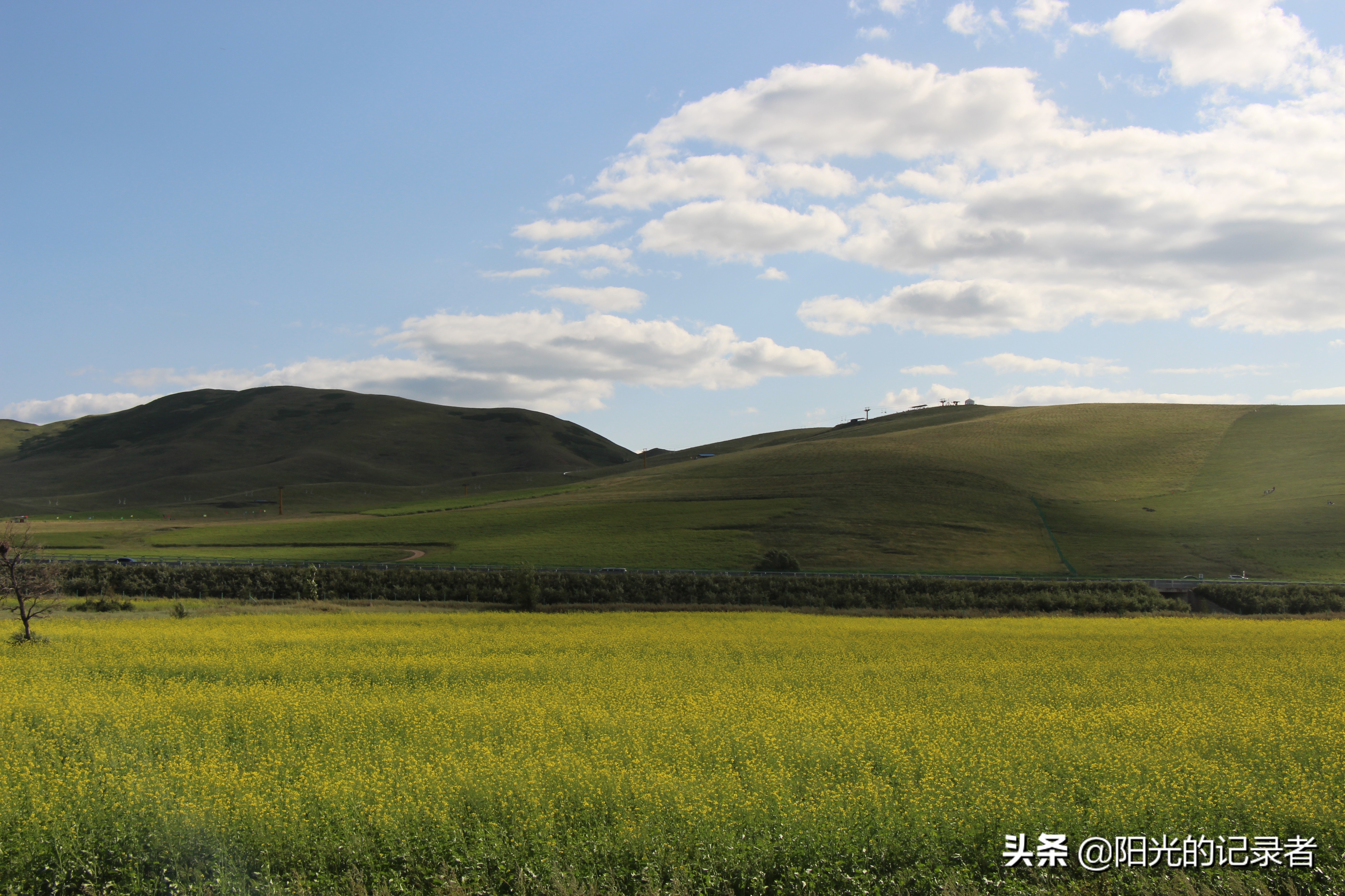 丰宁坝上草原哪几个免费景点必去,丰宁坝上景点冬天推荐