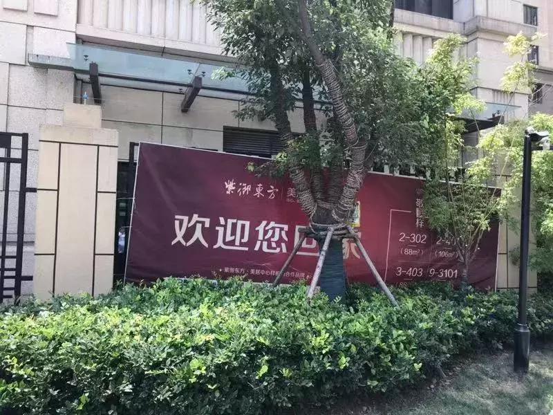 精装修房子发现书虱,新房装修后出现书虱