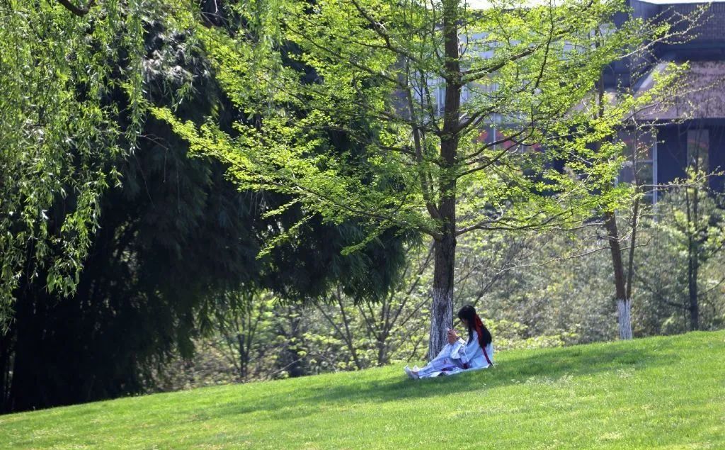 成都东软学院青城山下,东软青城山校区