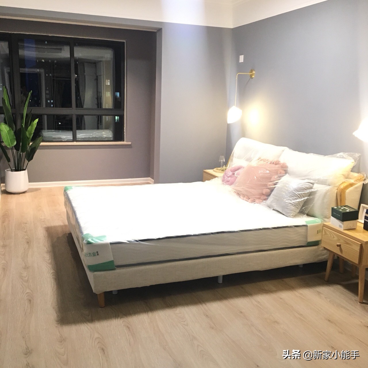 灏忕獫鍩烘湰瀹屽伐,灏忕獫缁堜簬瑁呬慨濂戒簡