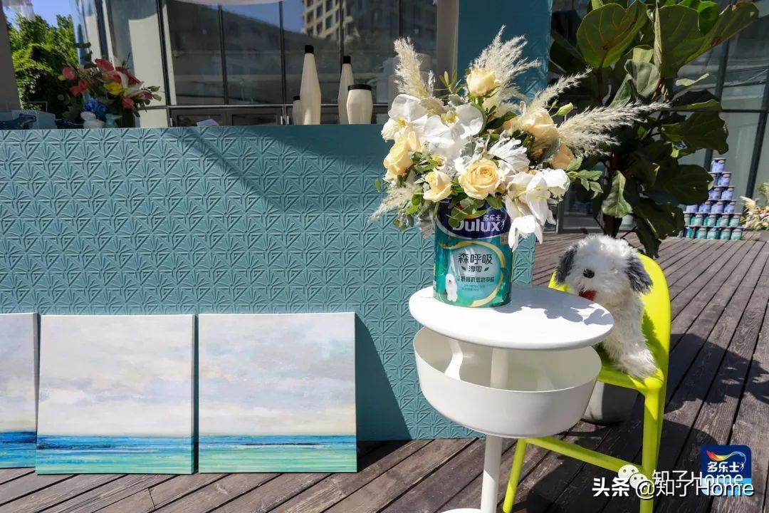 天下武功唯快不破踢腿视频,天下武功无坚不摧唯快不破