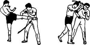 无限制泰拳是什么意思,泰拳无规则比赛