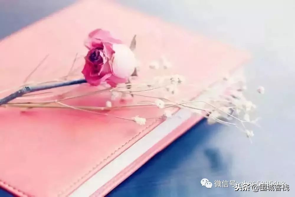 红颜知己是一种浪漫的境界,蓝颜和红颜知己存在的最高境界