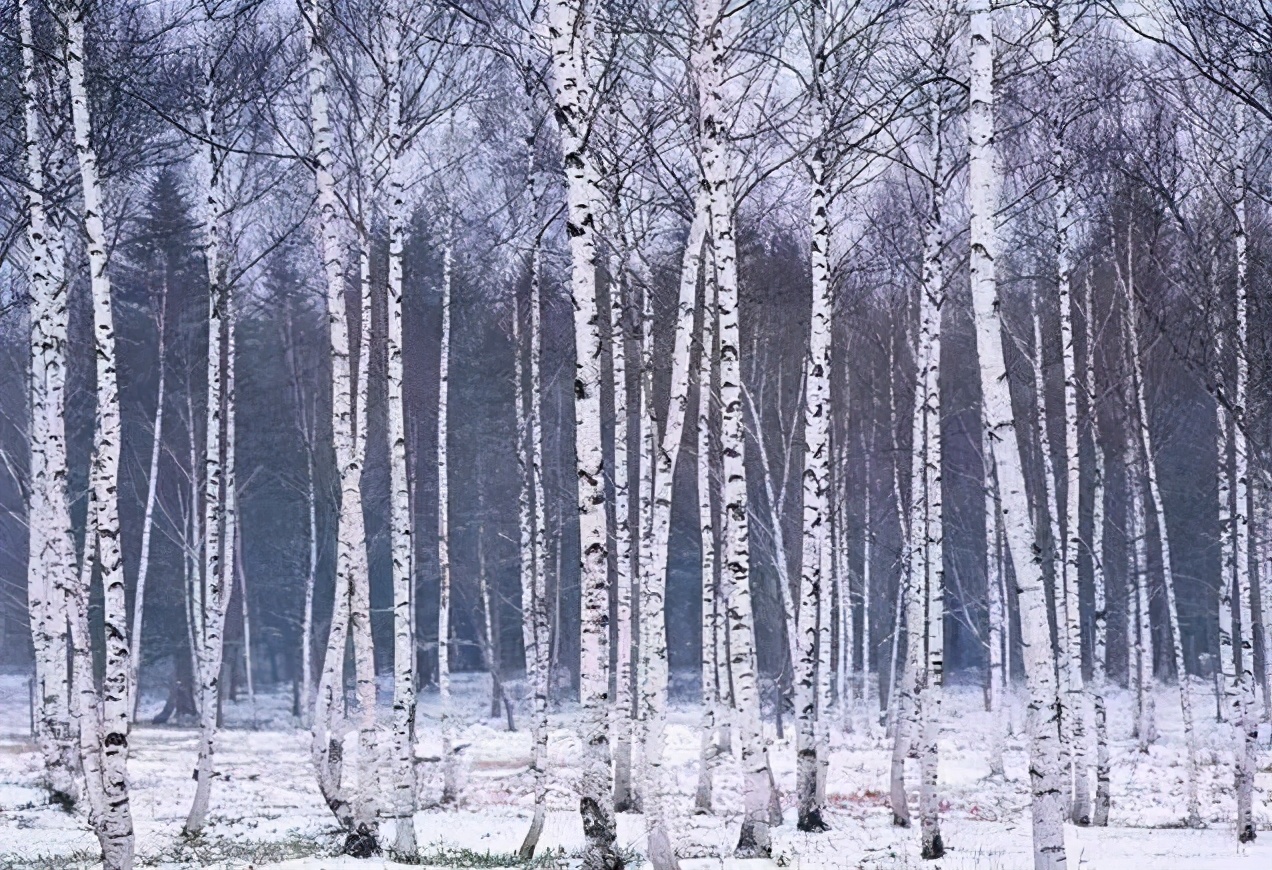 最贵的火车票一张票近5万,中国最贵的火车票你知道吗