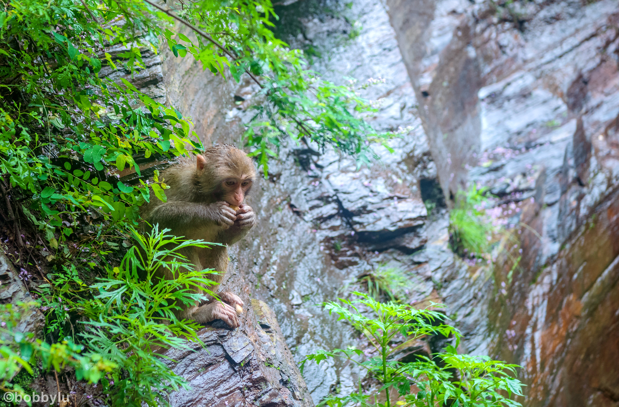 隐藏在深山里的网红景点,隐藏深山古村堪称世外桃源