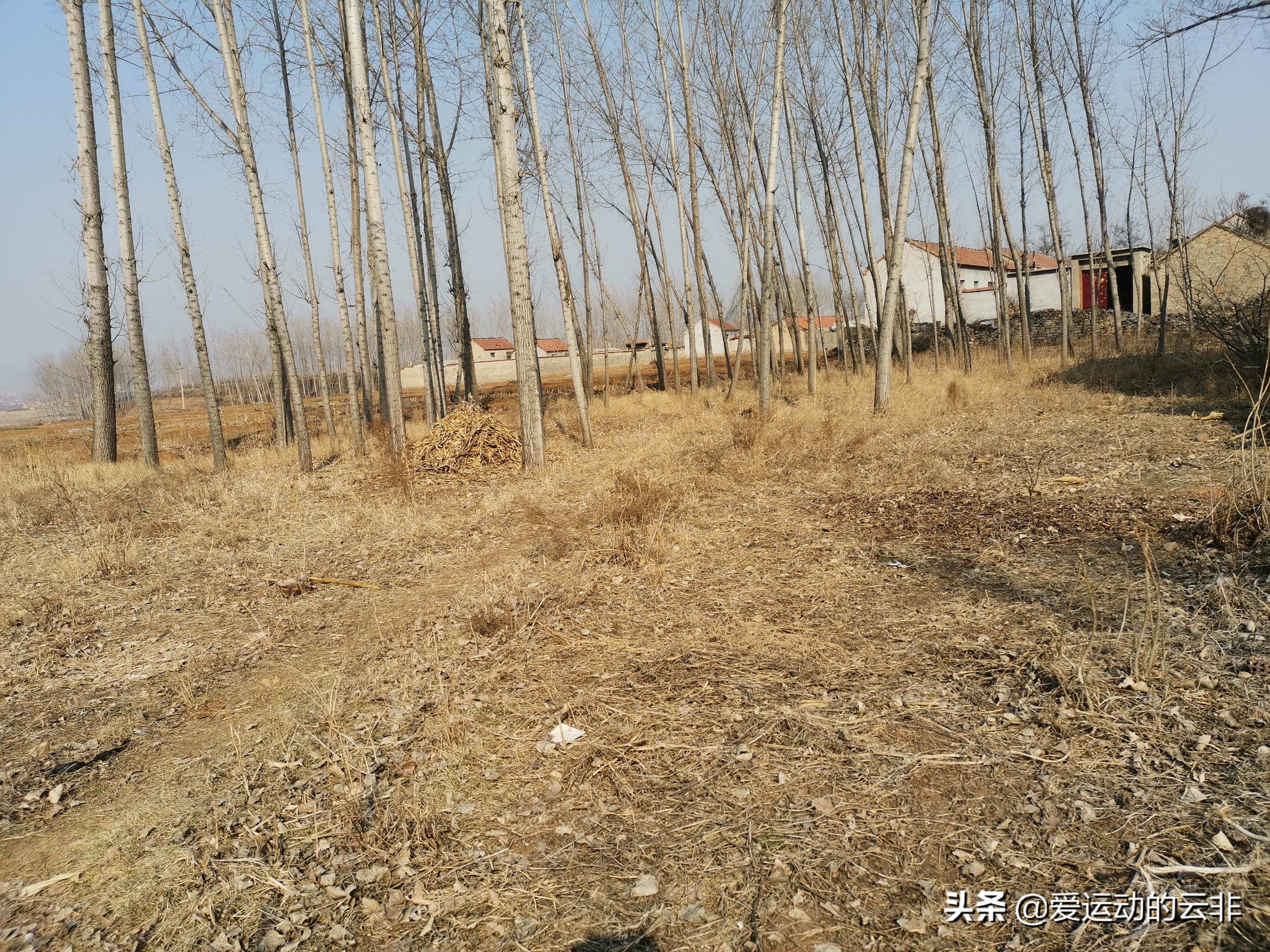 球场与孩子对话,小时候的足球场回忆