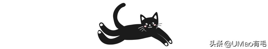 小猫咪很容易被吓一跳怎么办,小猫咪很容易被吓一跳