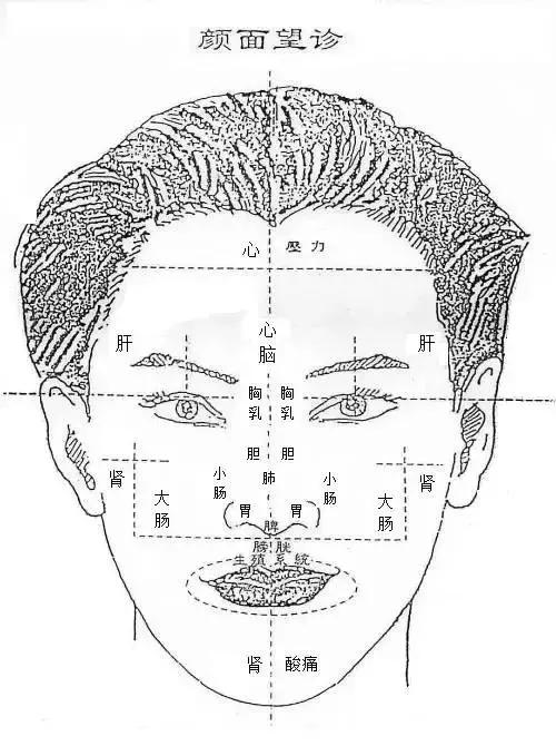 中医诊断望诊方法,中医全息望诊大全