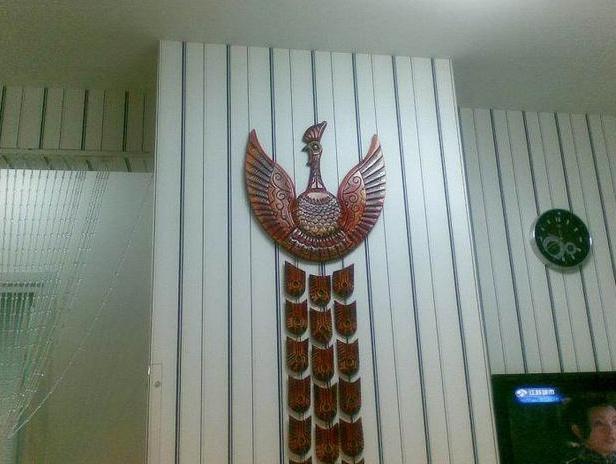 29岁大龄剩女装修35平米,60岁独居女人新房装修