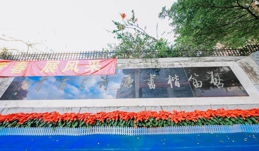 漫游东游西荡,漫游深圳城市