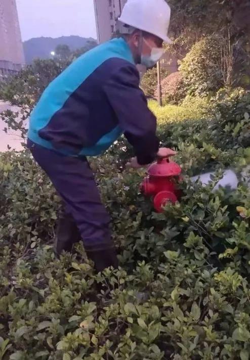 碧桂园服务福建区域,碧桂园守护您的家