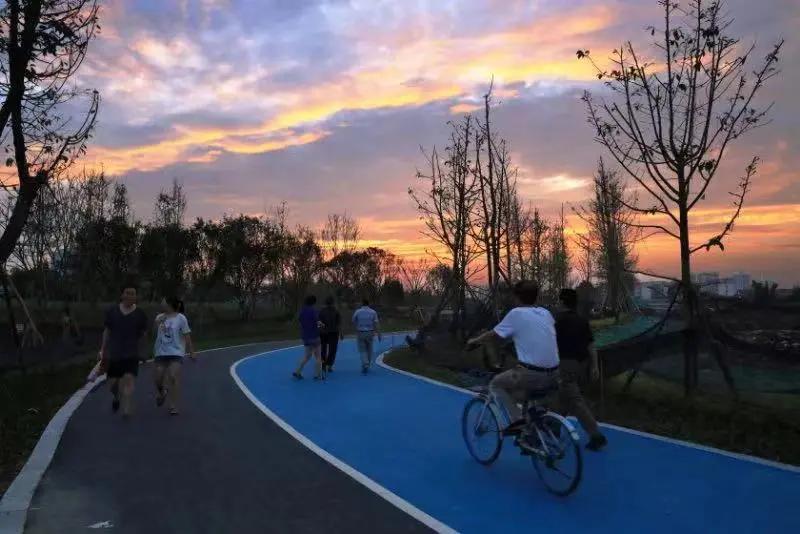 青白江十大健身地,青白江体育