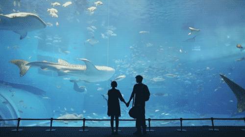 遇到三观不合的婆家人怎么办,三观不合的夫妻怎么经营婚姻