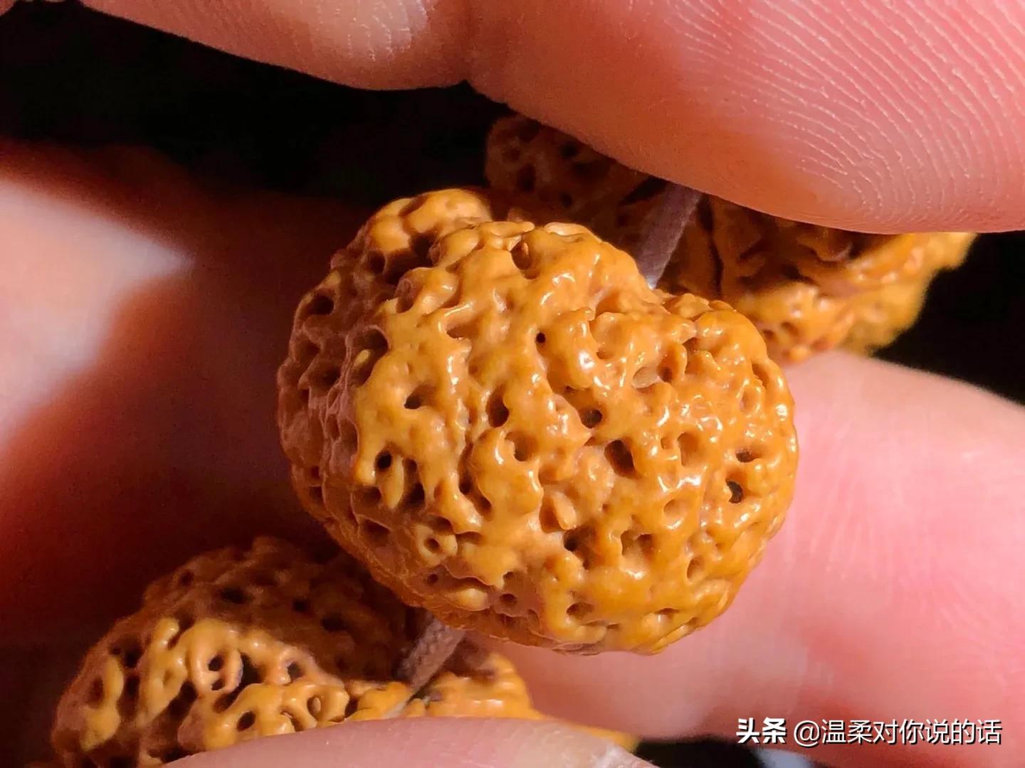 解读一下金刚经,介绍一下金刚经