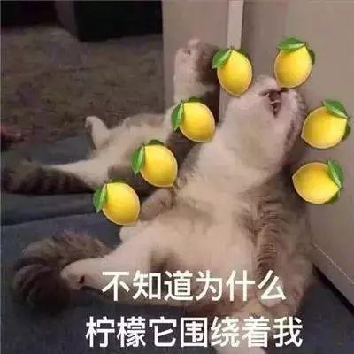 好物推荐：屈臣氏导购推荐的都是雷区，我还能买什么？