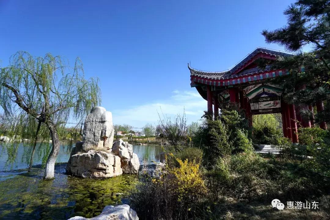 春到泉城之泉城公园,大美宁阳复圣公园
