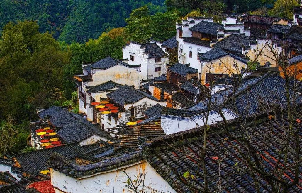 婺源篁岭赏秋,晒秋江西婺源篁岭