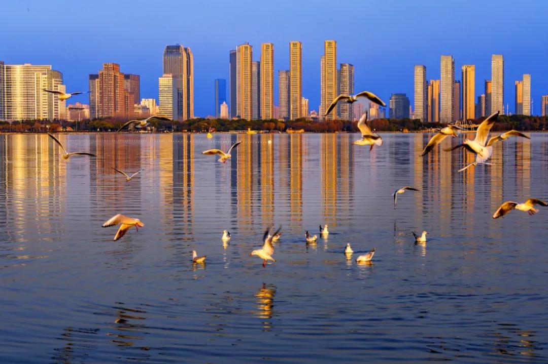 开奖啦！“魅力蠡开”摄影大赛获奖名单公布