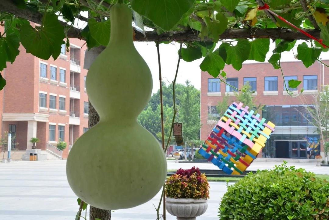 鏍″洯閲岀殑钁¤悇,瀛︽牎閲岀殑钁¤悇鐔熶簡