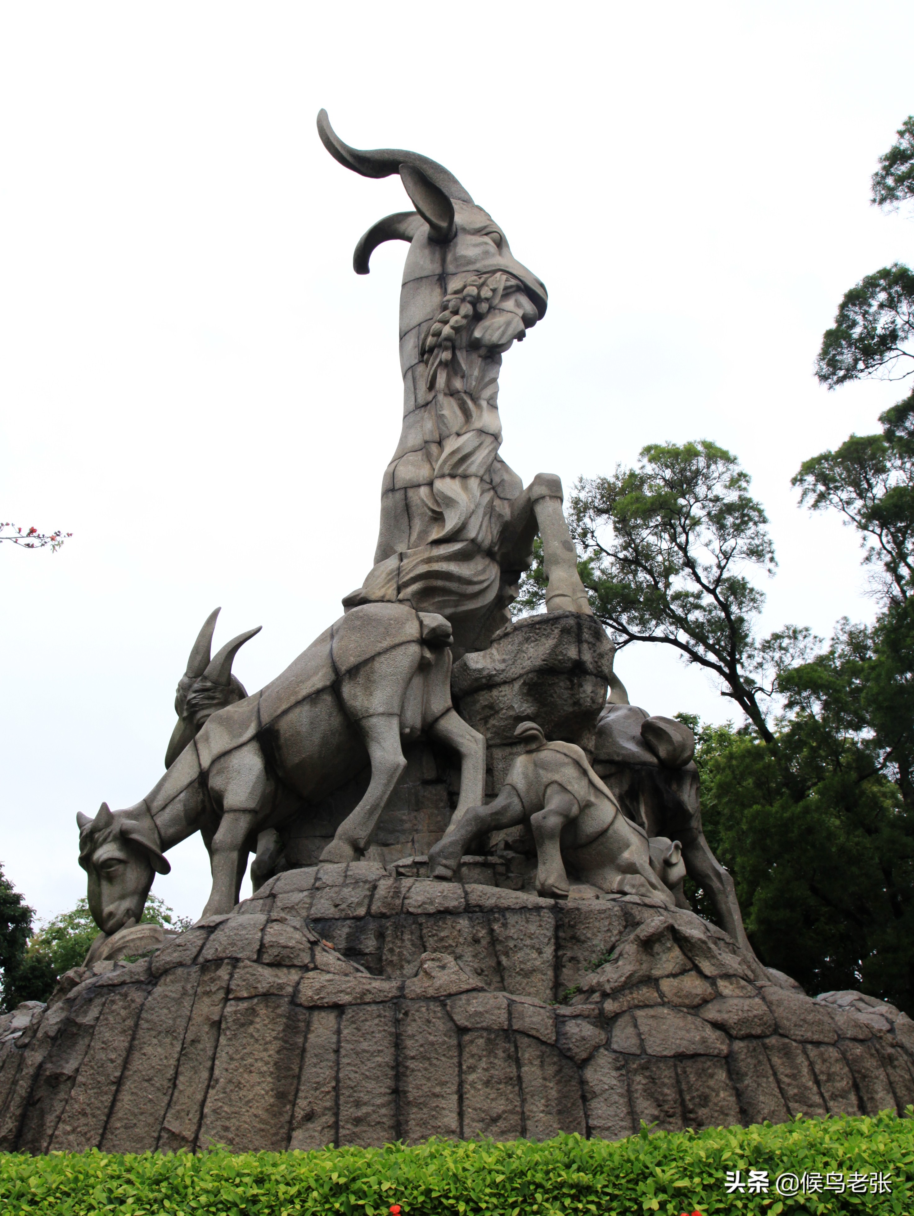 广州塔高耸入云,广州塔小蛮腰塔尖照片