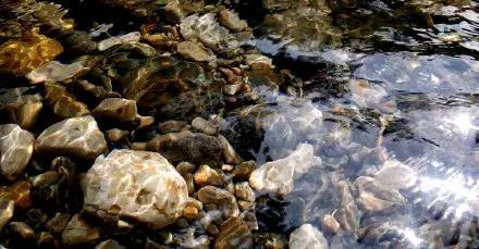 成都秋老虎发威的地方,成都秋老虎最新视频