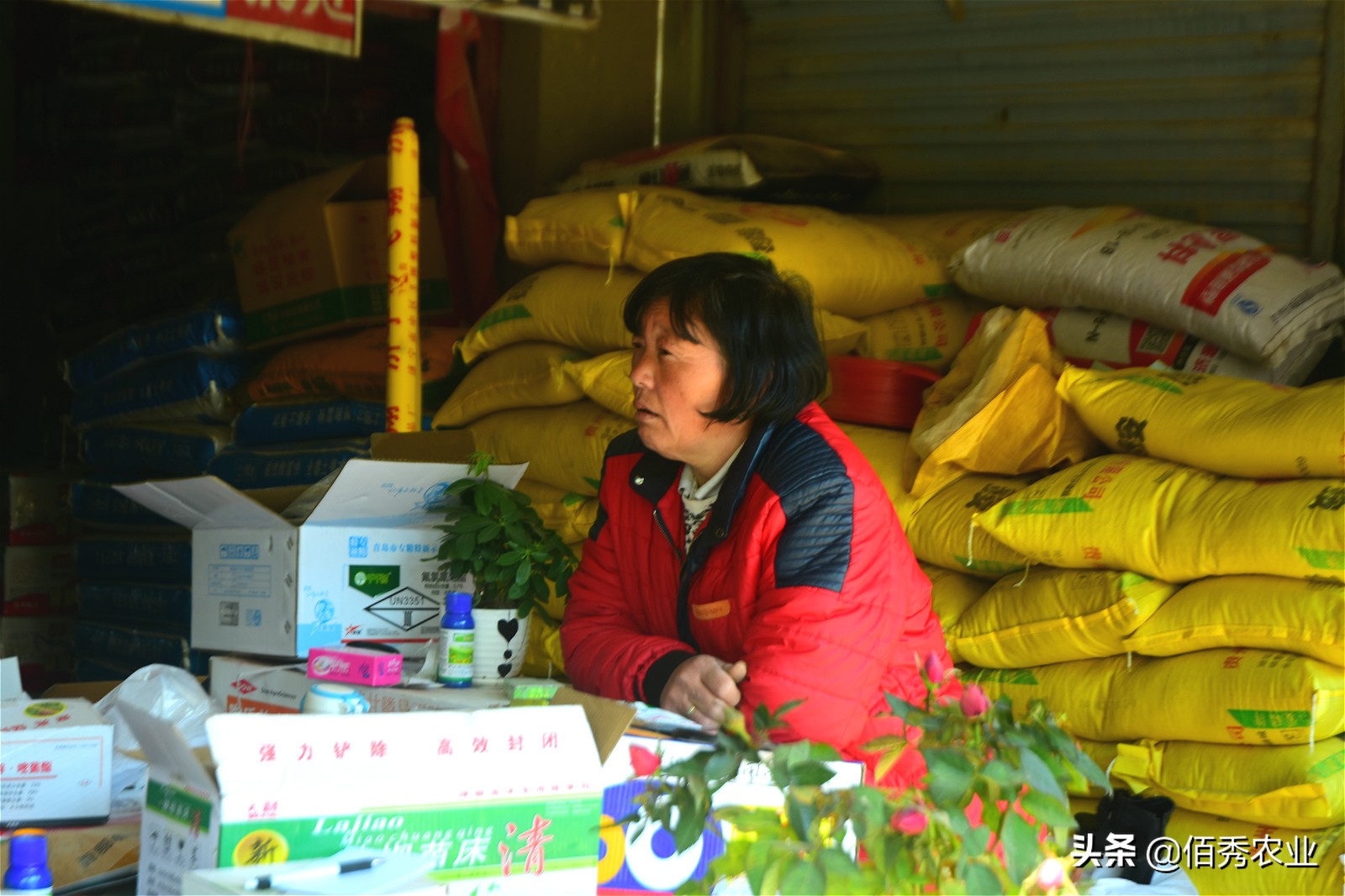 农民朋友购买农资化肥需注意四点,农民怎样购买化肥不亏