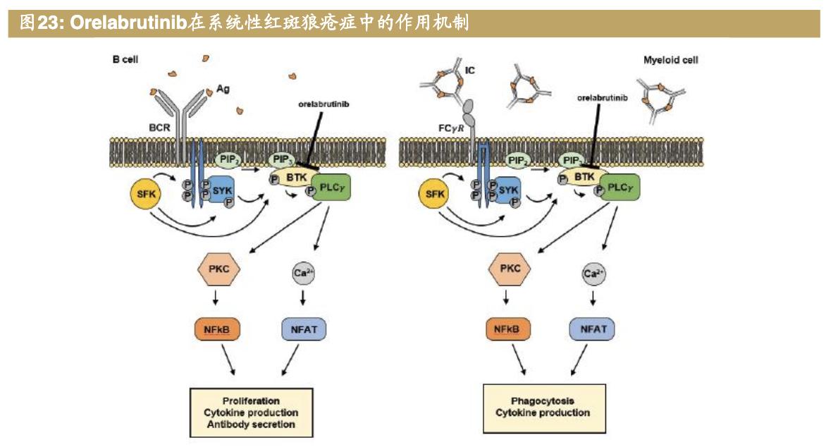 医药公司诺诚健华,诺诚健华创新药基地