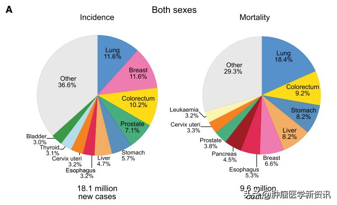 肺癌最难治疗的是哪种癌症,肺癌是所有癌症中最严重的