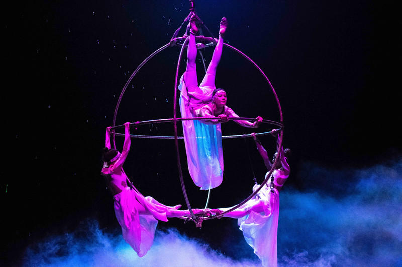 广州长隆野生动物世界旅游攻略,长隆野生动物世界攻略2-3天广州游