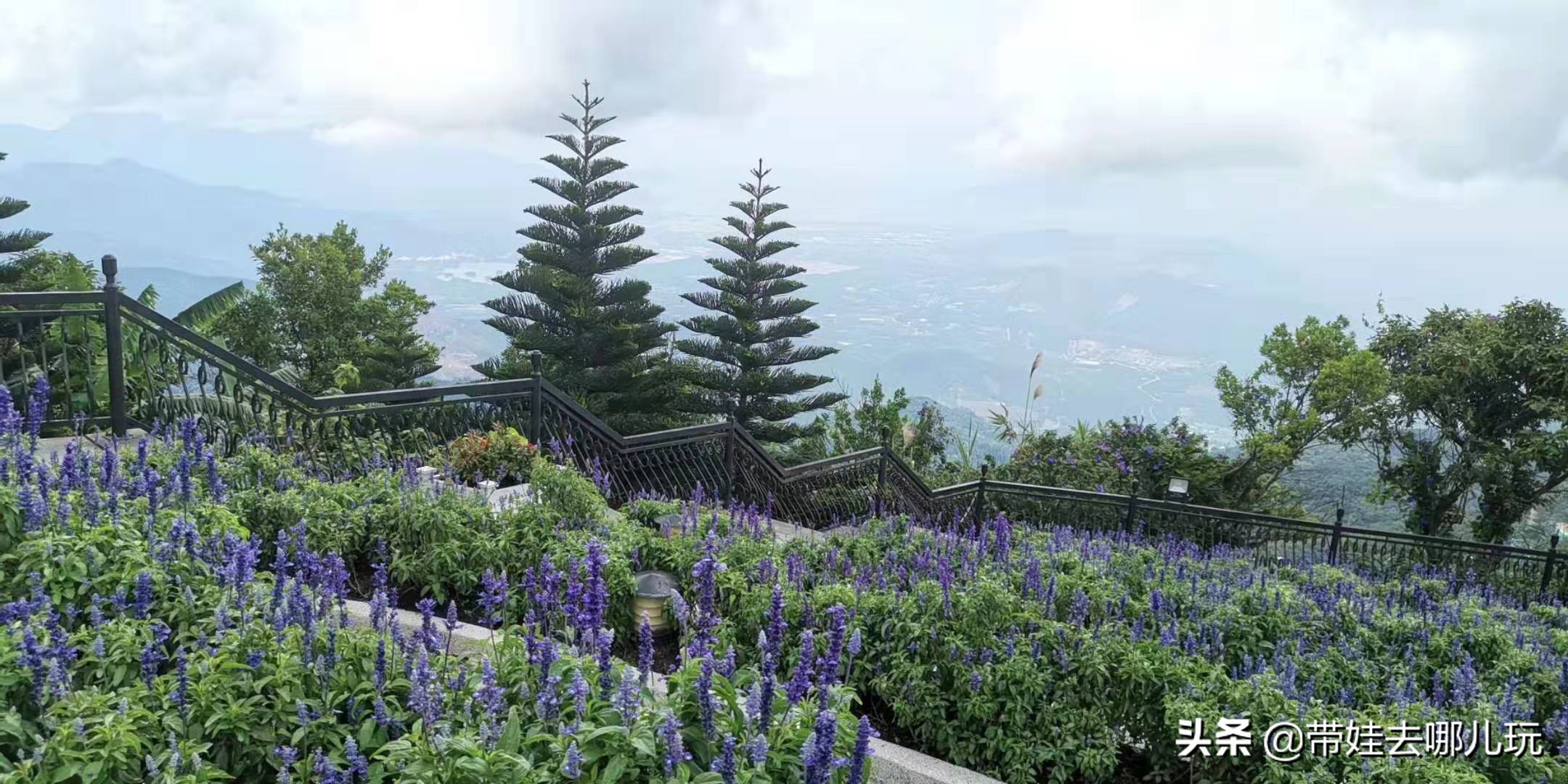 越南岘港怎么玩,岘港值得玩吗