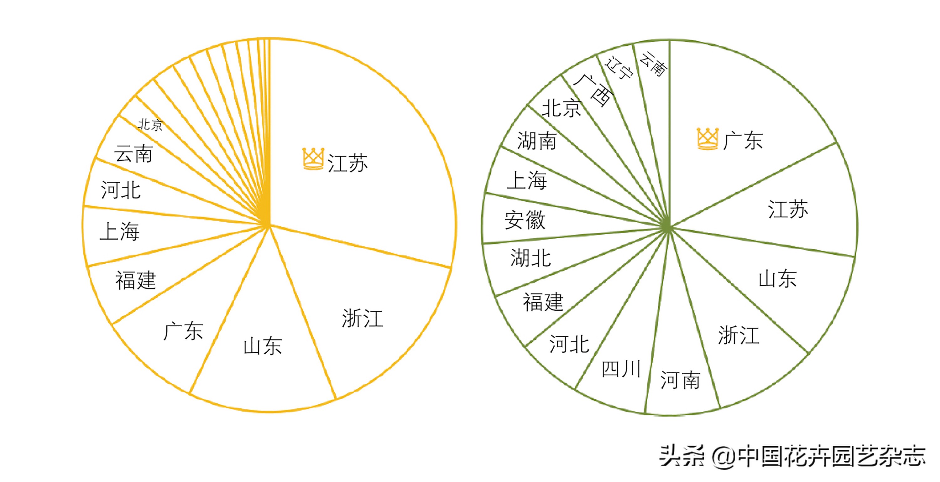 传统电商平台:不变的是一直在变|《中国花卉园艺》2020年7期专题