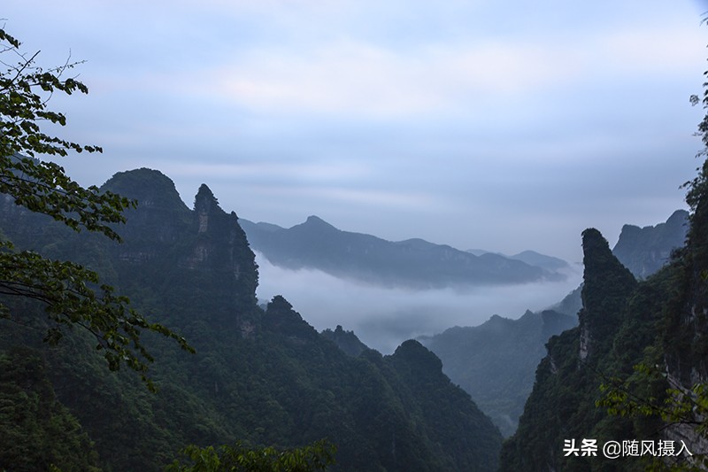 自驾旅记,自驾游柴埠溪大峡谷游记