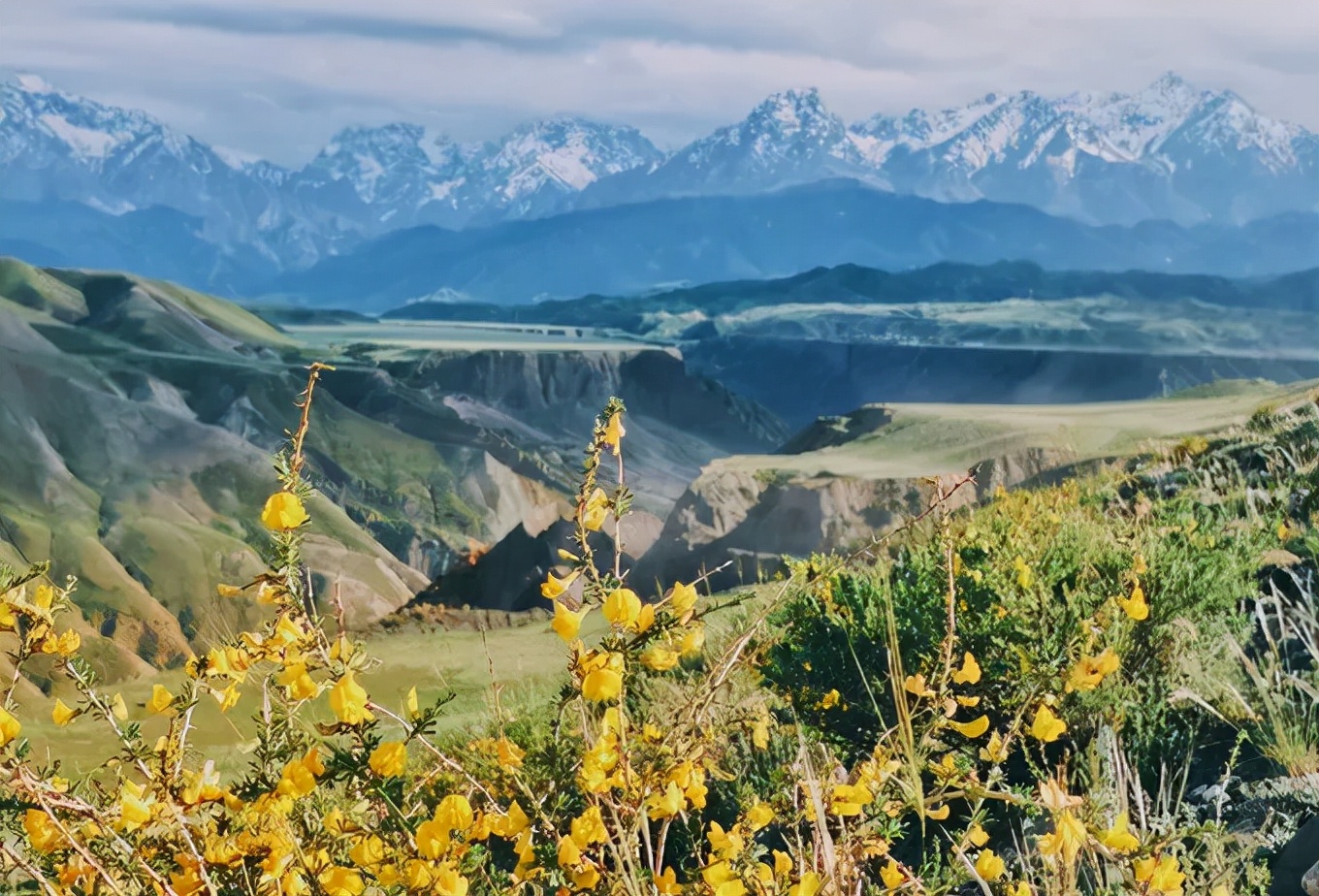 北疆四季,北疆的四季美景