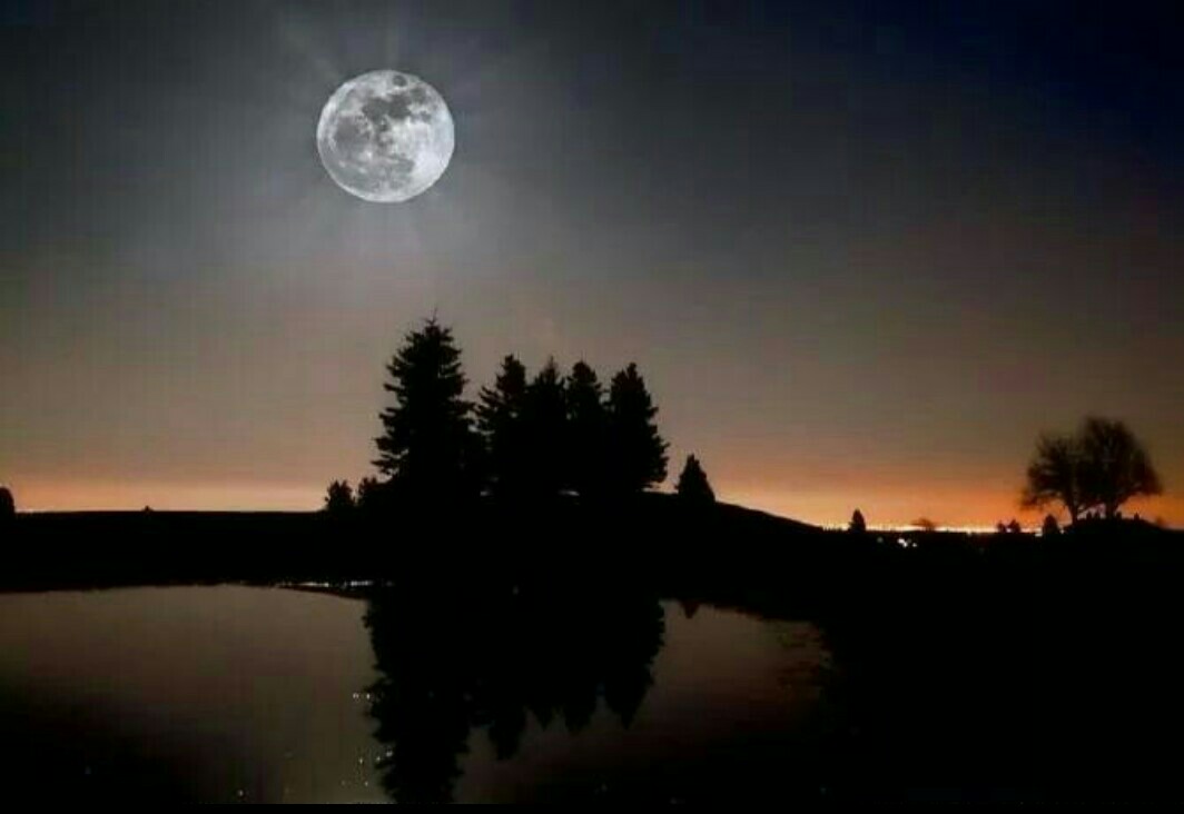 老了怎么办最好,老了怎么办怎么回复