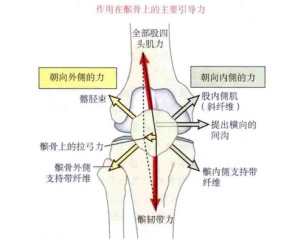 膝关节咔咔响隐隐作痛,下蹲时膝关节有小咔咔声
