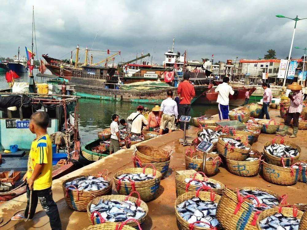 海南自驾租车推荐车型最新,海南517驿站租车价格表