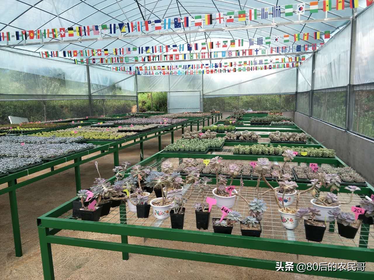 小型休闲农庄投资需要资金,低成本小型休闲农庄