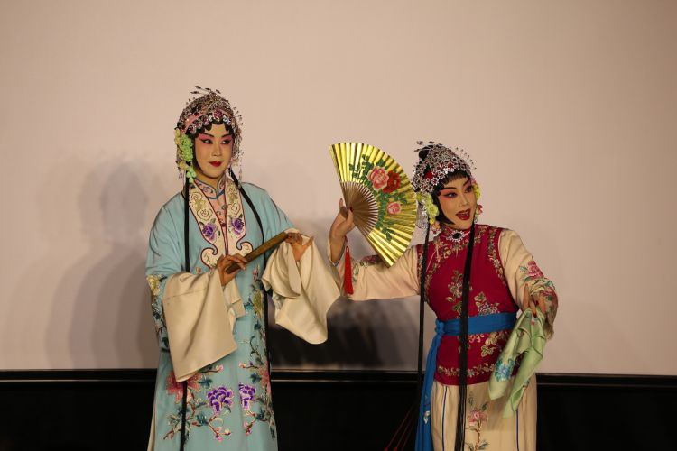 深圳戏院儿童剧,深圳戏院传统文化