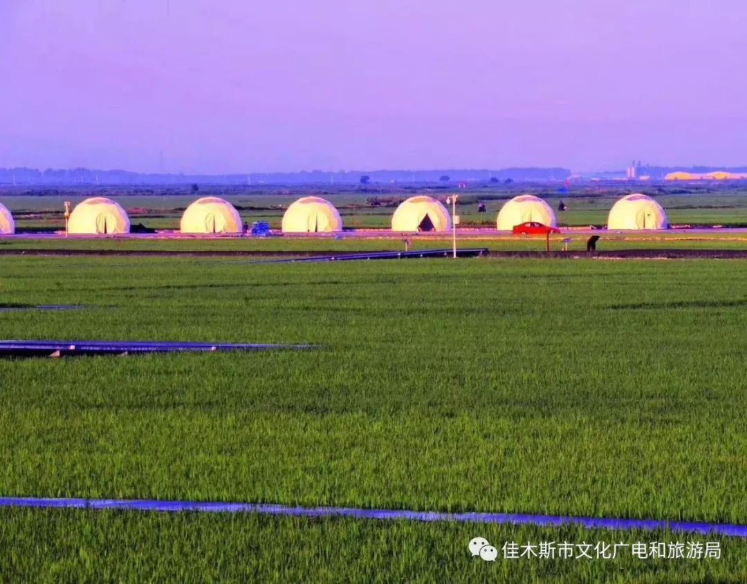 富锦万亩稻田秋收场景,富锦万亩稻田公园由来