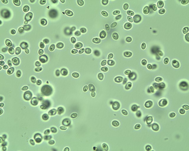 给女票搓了一年内衣,我想明白一个事儿——专用洗衣液微横测