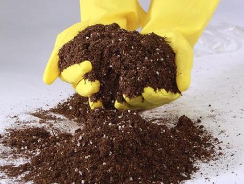 养花买土好不好,养花费钱