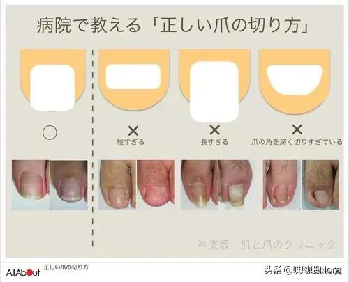 指甲所有款式,指甲全色系推荐