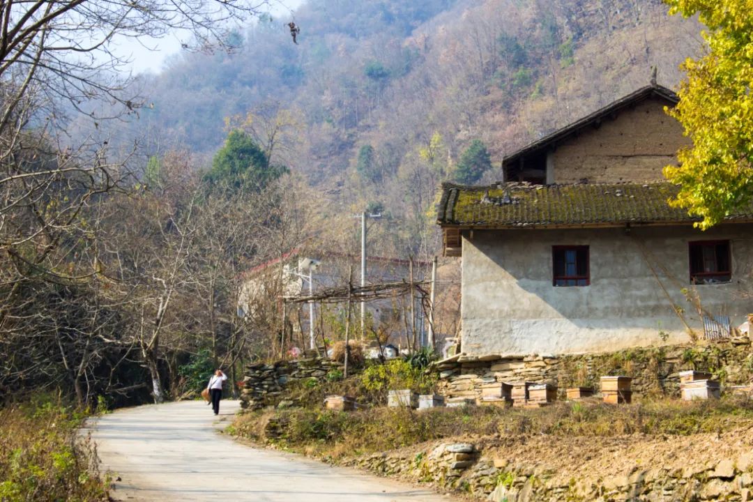 寻访秦岭龙潭村，背篓都是背在背上，这位大婶为何将其挎在腰间？