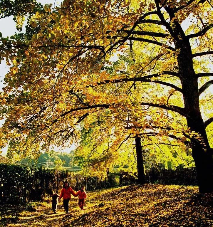 2019已过去迎接新的2020已到来,广西之旅2019