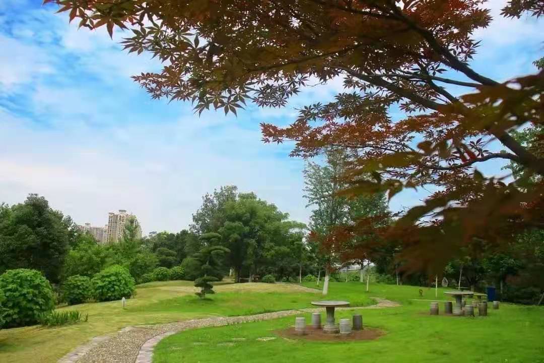 今天我以湖经为荣,明天湖经以我为傲